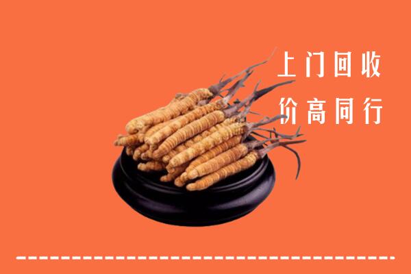 高价求购：秦州区回收散虫草