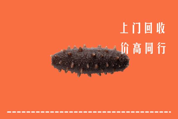 高价求购：秦州区回收海参