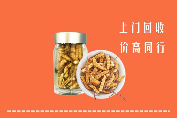 秦州区回收冬虫夏草