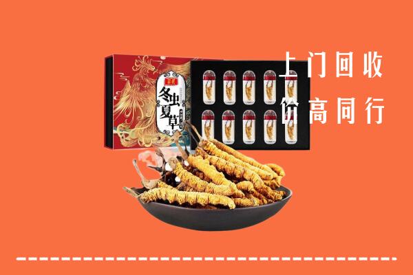 秦州区回收虫草